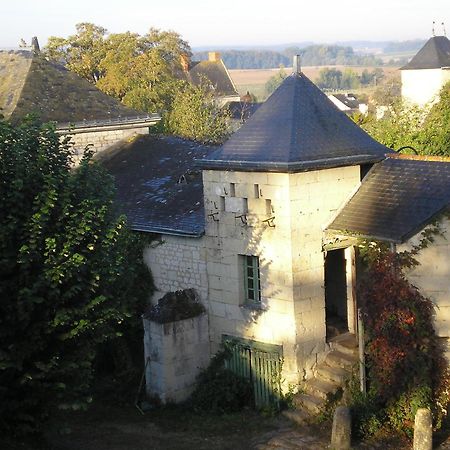 مبيت وإفطار Le Coudray-Macouard Manoir De Boisairault المظهر الخارجي الصورة
