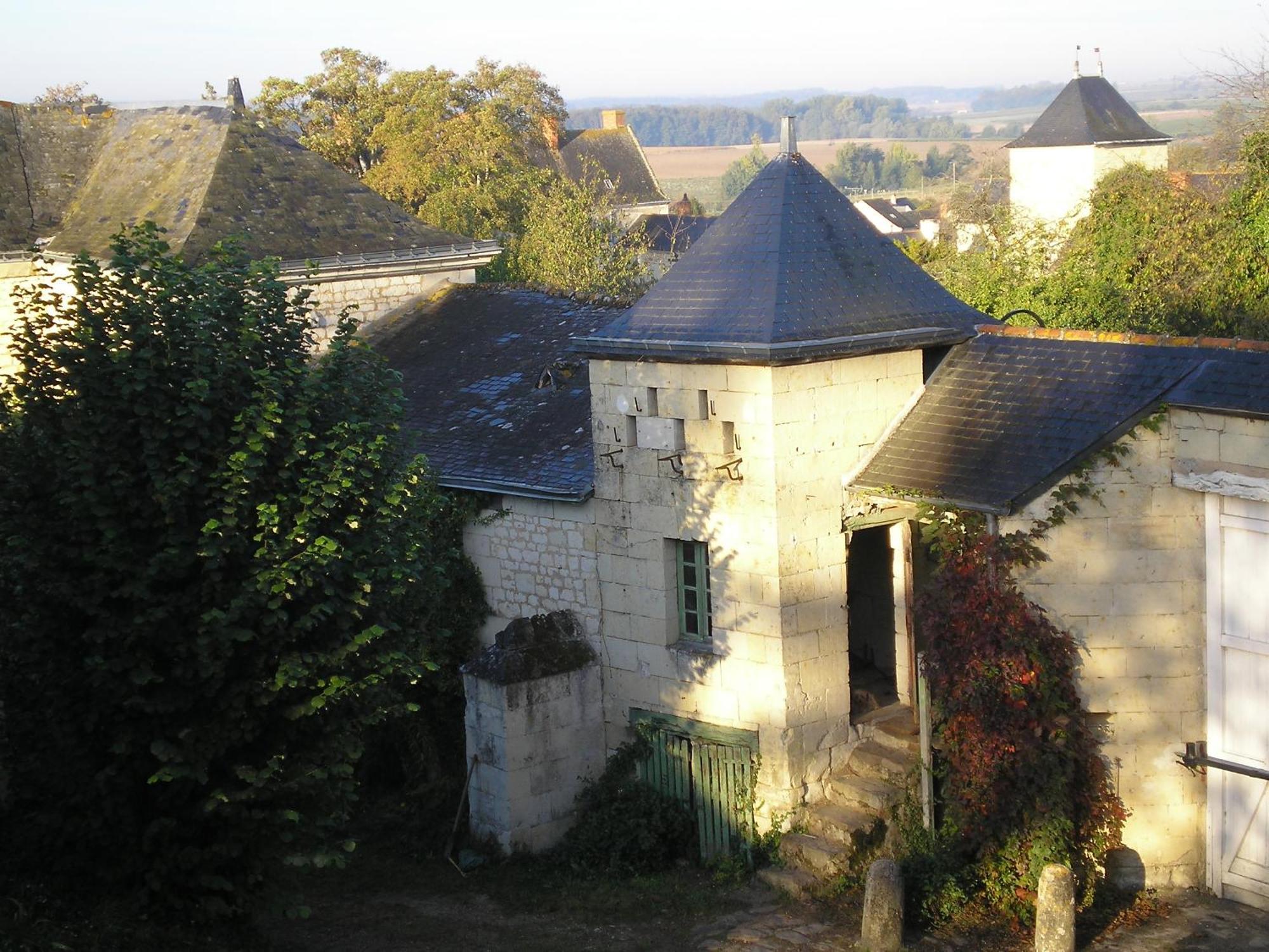 مبيت وإفطار Le Coudray-Macouard Manoir De Boisairault المظهر الخارجي الصورة