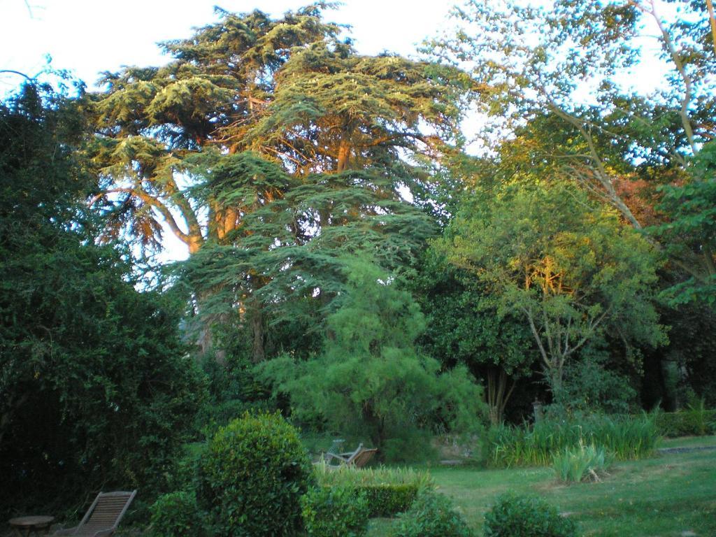 مبيت وإفطار Le Coudray-Macouard Manoir De Boisairault المظهر الخارجي الصورة