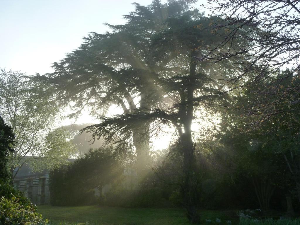 مبيت وإفطار Le Coudray-Macouard Manoir De Boisairault المظهر الخارجي الصورة