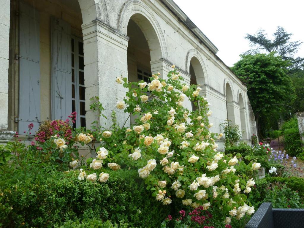مبيت وإفطار Le Coudray-Macouard Manoir De Boisairault المظهر الخارجي الصورة