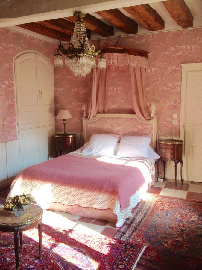 مبيت وإفطار Le Coudray-Macouard Manoir De Boisairault المظهر الخارجي الصورة