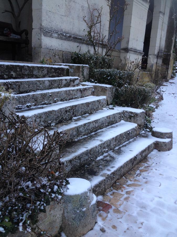 مبيت وإفطار Le Coudray-Macouard Manoir De Boisairault المظهر الخارجي الصورة
